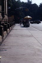 Looking down the sidewalk to Central Park